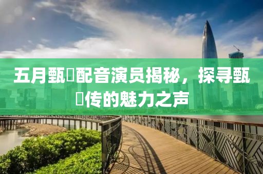 五月甄嬛配音演员揭秘，探寻甄嬛传的魅力之声