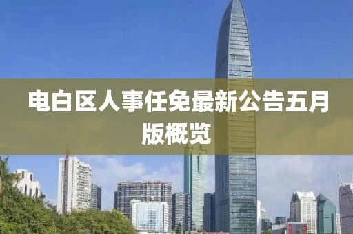 电白区人事任免最新公告五月版概览