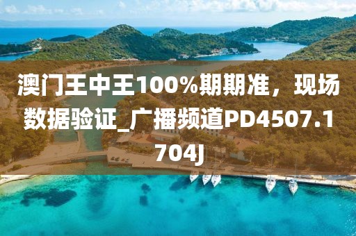 澳门王中王100%期期准，现场数据验证_广播频道PD4507.1704J