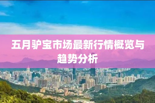五月驴宝市场最新行情概览与趋势分析