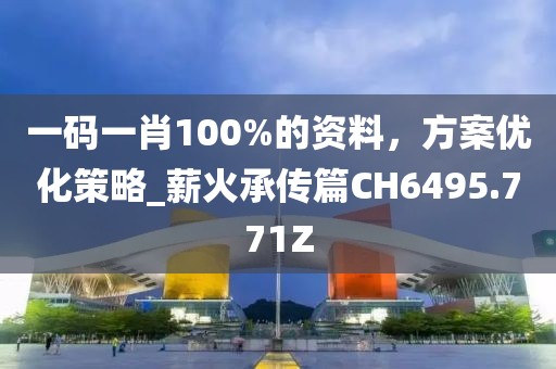 一码一肖100%的资料，方案优化策略_薪火承传篇CH6495.771Z