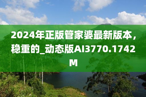 2024年正版管家婆最新版本，稳重的_动态版AI3770.1742M
