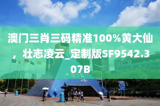 澳门三肖三码精准100%黄大仙，壮志凌云_定制版SF9542.307B
