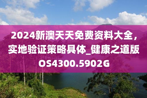 2024新澳天天免费资料大全，实地验证策略具体_健康之道版OS4300.5902G