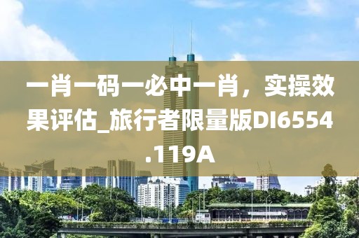 一肖一码一必中一肖，实操效果评估_旅行者限量版DI6554.119A