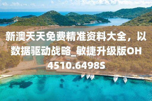 新澳天天免费精准资料大全，以数据驱动战略_敏捷升级版OH4510.6498S