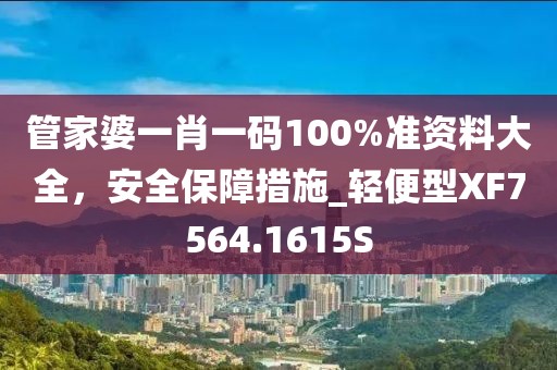 管家婆一肖一码100%准资料大全，安全保障措施_轻便型XF7564.1615S