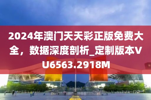 2024年澳门天天彩正版免费大全，数据深度剖析_定制版本VU6563.2918M
