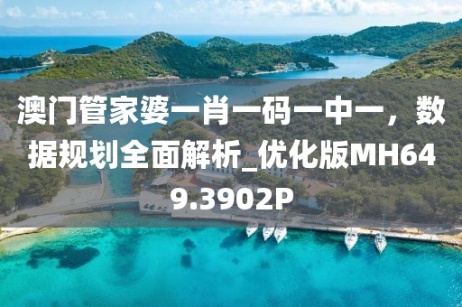 澳门管家婆一肖一码一中一，数据规划全面解析_优化版MH649.3902P