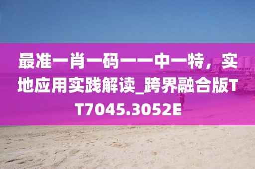 最准一肖一码一一中一特，实地应用实践解读_跨界融合版TT7045.3052E