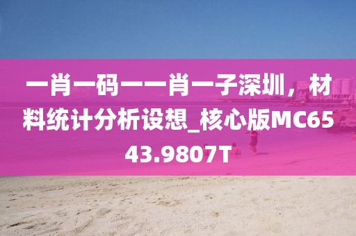 一肖一码一一肖一子深圳，材料统计分析设想_核心版MC6543.9807T