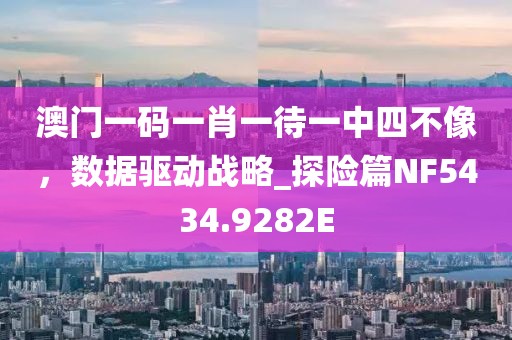 澳门一码一肖一待一中四不像，数据驱动战略_探险篇NF5434.9282E