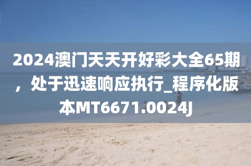 2024澳门天天开好彩大全65期，处于迅速响应执行_程序化版本MT6671.0024J