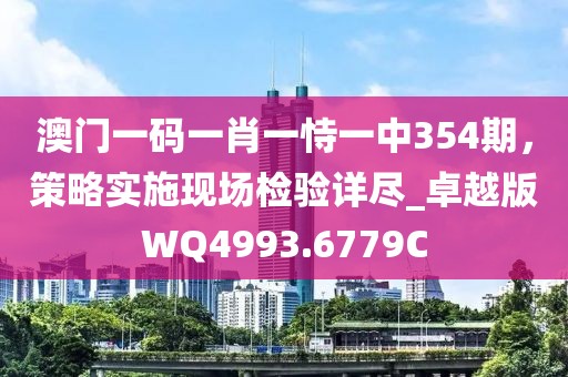 澳门一码一肖一恃一中354期，策略实施现场检验详尽_卓越版WQ4993.6779C
