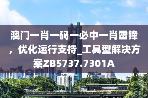 澳门一肖一码一必中一肖雷锋，优化运行支持_工具型解决方案ZB5737.7301A