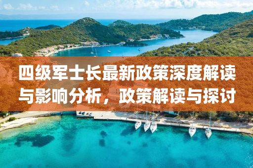 四级军士长最新政策深度解读与影响分析，政策解读与探讨