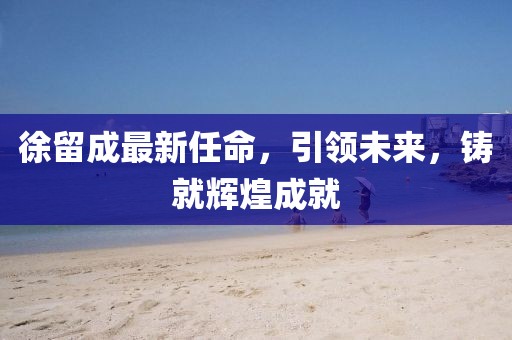 徐留成最新任命，引领未来，铸就辉煌成就