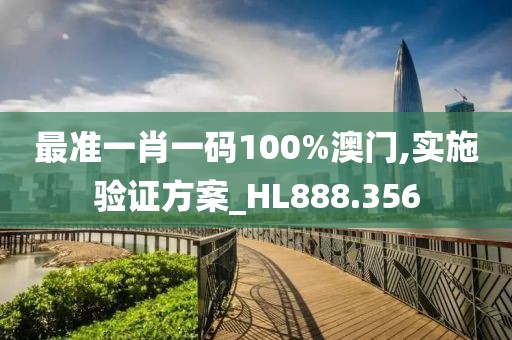 最准一肖一码100%澳门,实施验证方案_HL888.356