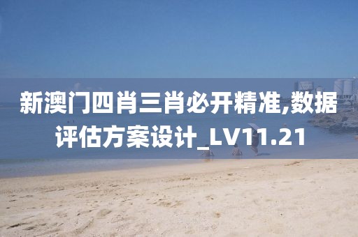 新澳门四肖三肖必开精准,数据评估方案设计_LV11.21