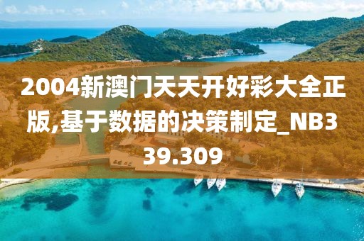 2004新澳门天天开好彩大全正版,基于数据的决策制定_NB339.309