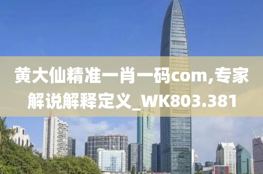黄大仙精准一肖一码com,专家解说解释定义_WK803.381