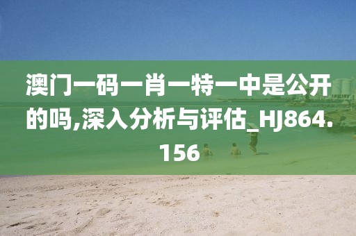 澳门一码一肖一特一中是公开的吗,深入分析与评估_HJ864.156