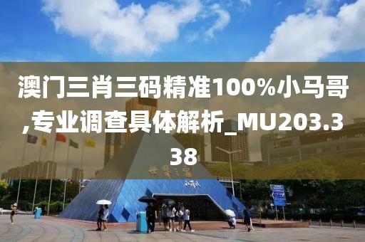 澳门三肖三码精准100%小马哥,专业调查具体解析_MU203.338