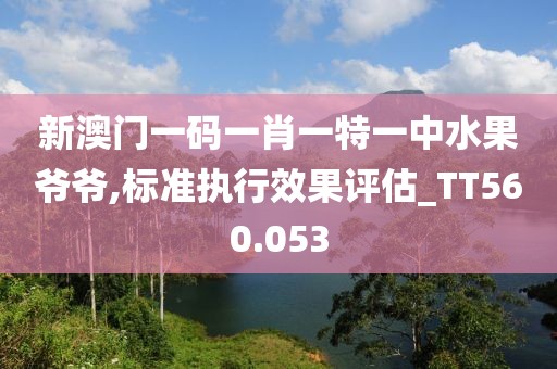 新澳门一码一肖一特一中水果爷爷,标准执行效果评估_TT560.053