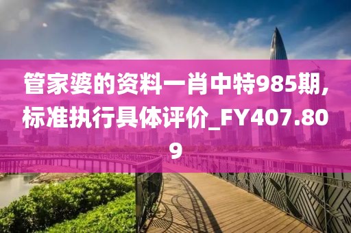 管家婆的资料一肖中特985期,标准执行具体评价_FY407.809