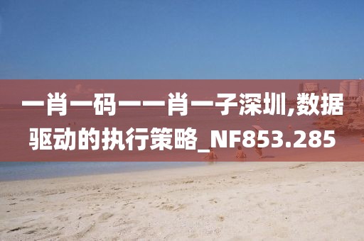 一肖一码一一肖一子深圳,数据驱动的执行策略_NF853.285