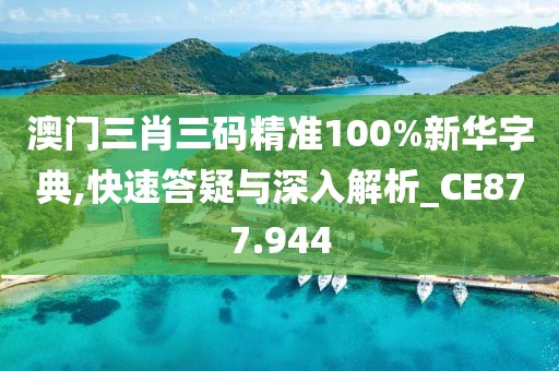 澳门三肖三码精准100%新华字典,快速答疑与深入解析_CE877.944