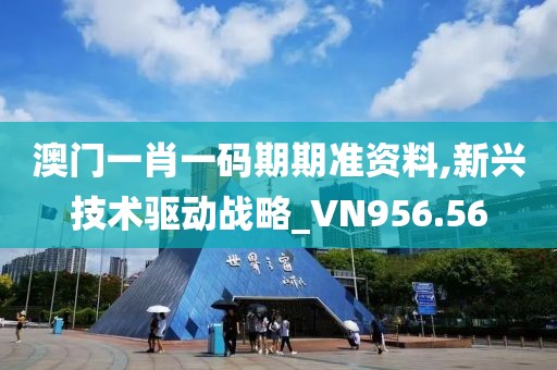 澳门一肖一码期期准资料,新兴技术驱动战略_VN956.56
