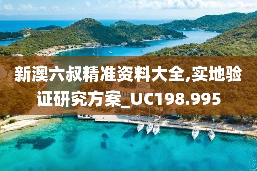 新澳六叔精准资料大全,实地验证研究方案_UC198.995