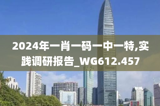 2024年一肖一码一中一特,实践调研报告_WG612.457