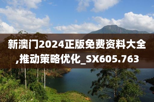 新澳门2024正版免费资料大全,推动策略优化_SX605.763
