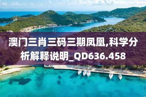 澳门三肖三码三期凤凰,科学分析解释说明_QD636.458