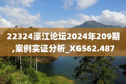 22324濠江论坛2024年209期,案例实证分析_XG562.487