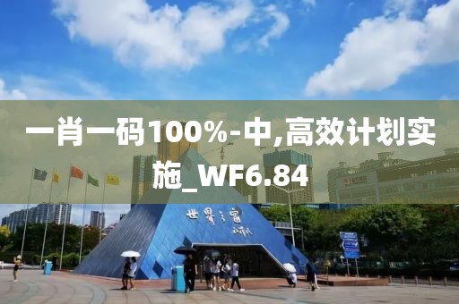 一肖一码100%-中,高效计划实施_WF6.84