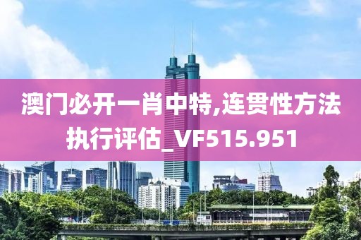 澳门必开一肖中特,连贯性方法执行评估_VF515.951