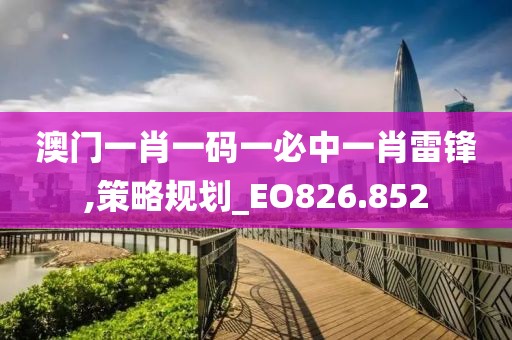 澳门一肖一码一必中一肖雷锋,策略规划_EO826.852