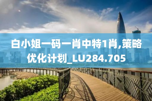 白小姐一码一肖中特1肖,策略优化计划_LU284.705