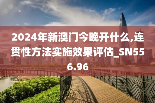 2024年新澳门今晚开什么,连贯性方法实施效果评估_SN556.96