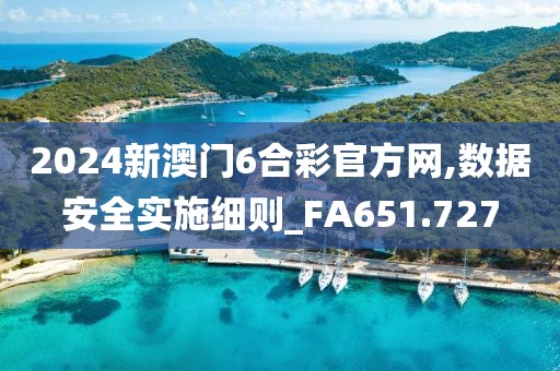 2024新澳门6合彩官方网,数据安全实施细则_FA651.727