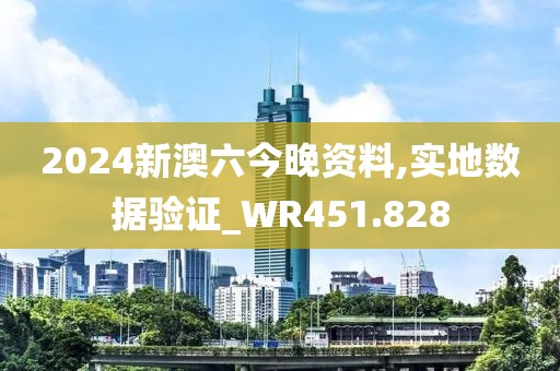 2024新澳六今晚资料,实地数据验证_WR451.828