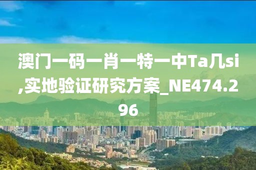 澳门一码一肖一特一中Ta几si,实地验证研究方案_NE474.296