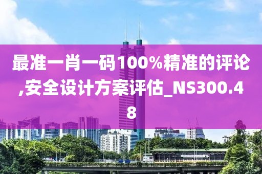 最准一肖一码100%精准的评论,安全设计方案评估_NS300.48