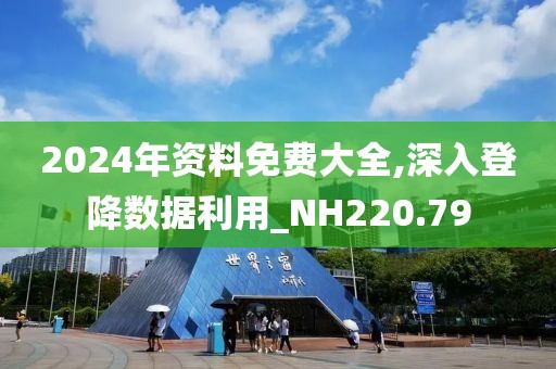 2024年资料免费大全,深入登降数据利用_NH220.79