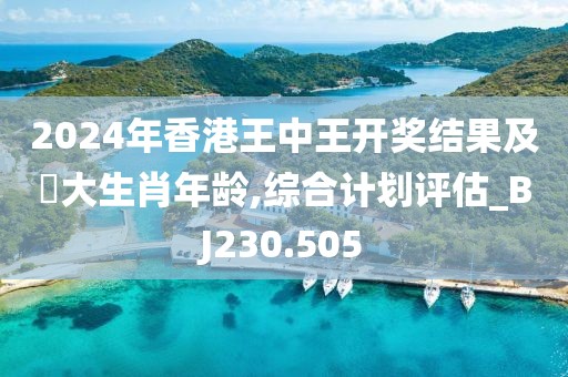 2024年香港王中王开奖结果及枓大生肖年龄,综合计划评估_BJ230.505