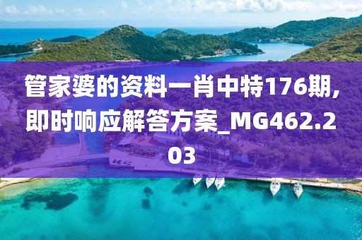 管家婆的资料一肖中特176期,即时响应解答方案_MG462.203
