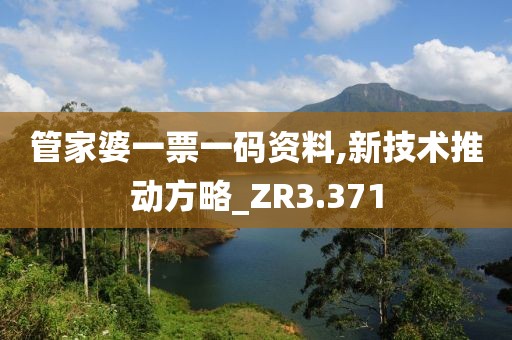 管家婆一票一码资料,新技术推动方略_ZR3.371